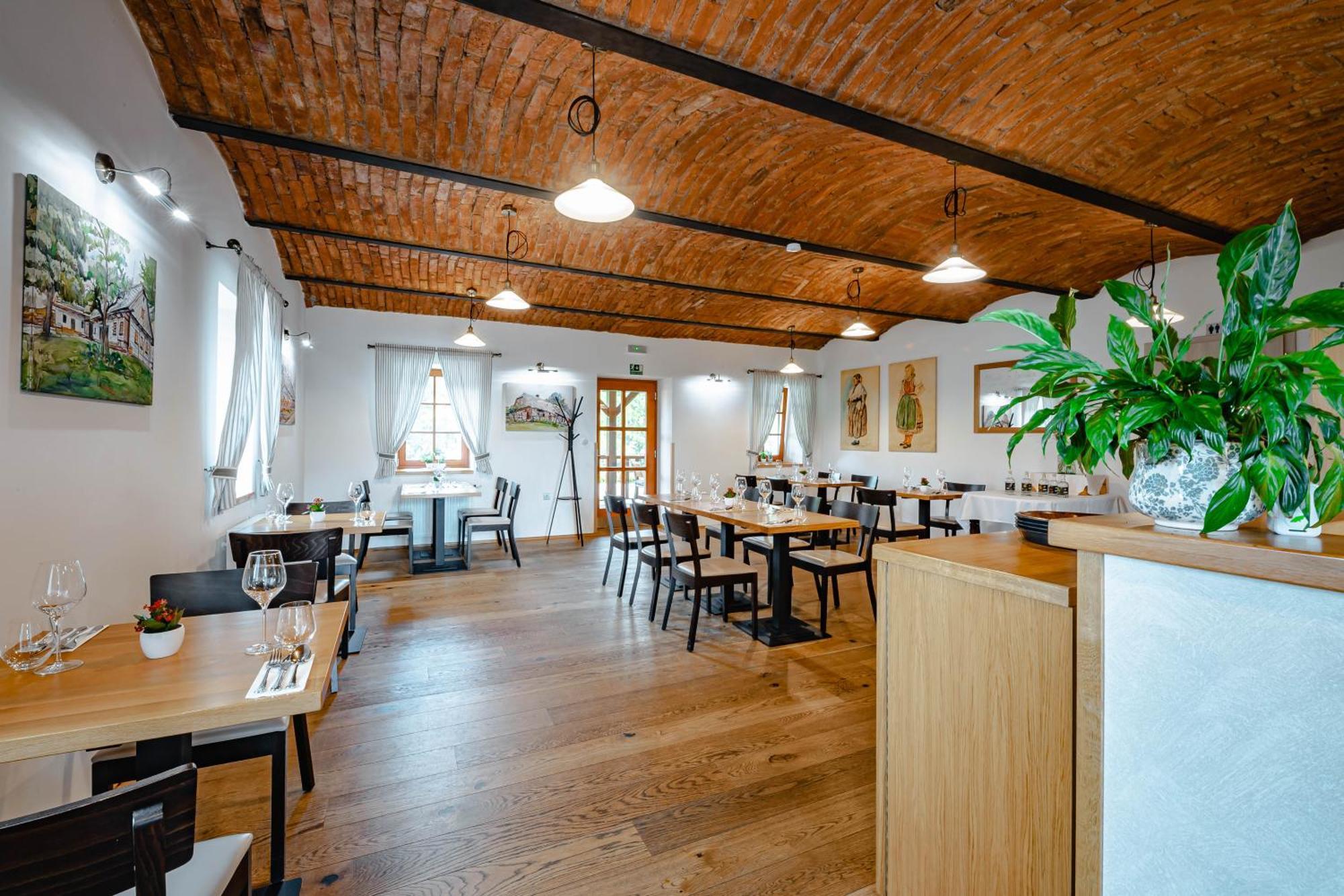 Hotel Vencluv Statek à Javornice Extérieur photo